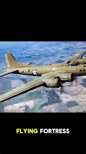 The 5 Allied Warplanes Of WWII 🔥🛩️ #worldwar2 #history #ww2history #historyfacts #militaryhistory