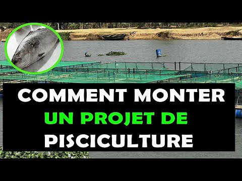 How to Build a Successful Fish Farming Project in Africa [Fish Farming]