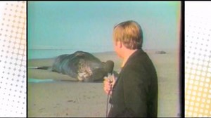 132K views · 465 reactions | #OTD in 1970, the Oregon Highway...