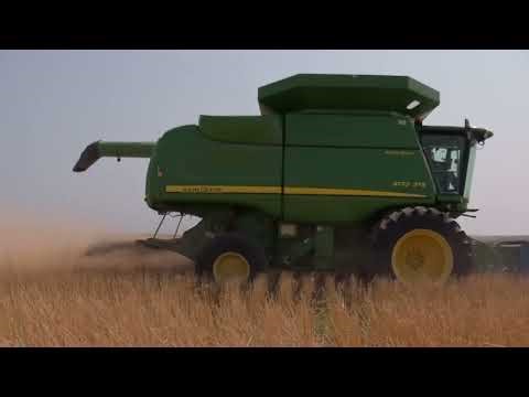 September Small Grains Summary Reveals Mixed Picture for 2025 U.S. Wheat Production