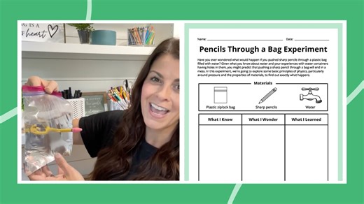 Pencil Through a Bag of Water Experiment: How-To Plus Free Worksheet