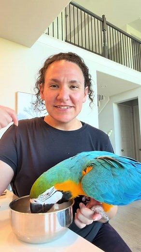 Meet Aurora: Part 6 of the Flock