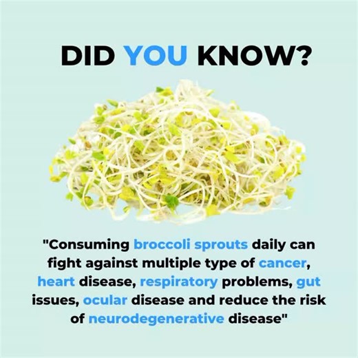 🌱 Did YOU Know? Broccoli sprouts are tiny but mighty! Adding them to your daily meals may support overall wellness — from heart and gut health to immunity and more. 💚✨ Who knew something so small could make such a big difference? 👇 Do you eat broccoli sprouts? Share your fav way to use them! #BroccoliSprouts #HealthyLiving #Superfoods #WellnessJourney #EatForHealth NutritionTips SproutPower HolisticHealth CleanEating HealthFacts WellnessLifestyle PlantBasedEating FoodAsMedicine HealthyHabits 