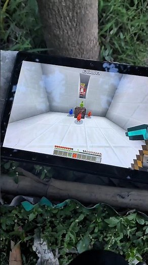 Minecraft Dancing Parrots 😂😂