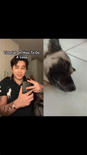 Perfect loop tutorial