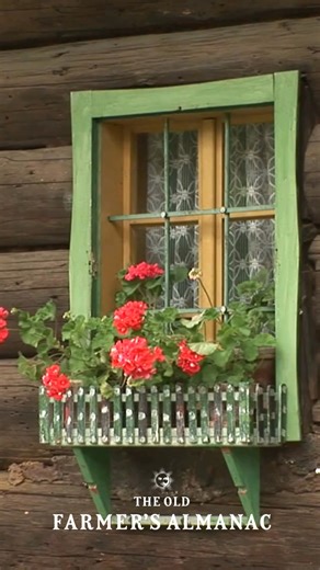 Wondering what to plant? Petunias, geraniums, zinnias, nasturtiums, and begonias are good choices for main-theme flowers. Fill in with things like inch plant, ivy, euonymus, heather, or vinca, which will cascade over the edge of the box. Don't leave it too sparse; window boxes look best when they’re packed with plants! Almanac.com/Best-Flowers-Window-Boxes | The Old Farmers Almanac