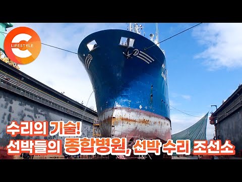 제한된 시간 안에 끝내야 하는 거대한 선박들의 대수술🛳 바다 위 선박 종합병원🏥 ‘수리 조선소'