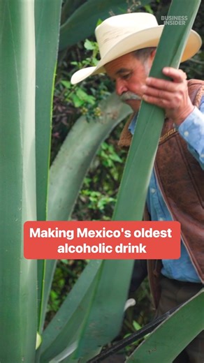 436K views · 6.3K reactions | Pablo has to cut the agave plant at just the right age to make #pulque. #mexico #mezcal | Insider Food | Facebook