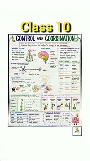 class 10 science ch 6 control and coordination|| NCERT|| notes 🖇️📝🖋️