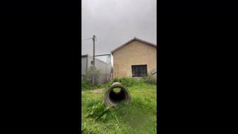 Playful crossing culvert ends with mishap in Laroque d’Olmes, France