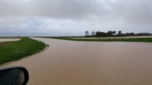 2.5K views · 67 reactions | Goring Gap | Worthing Town | Facebook