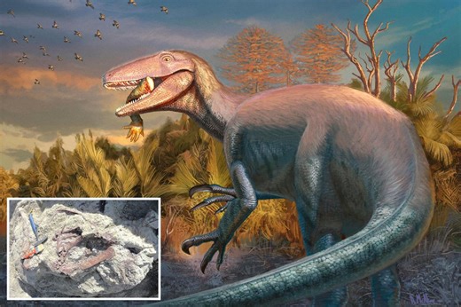 New species of ‘apex predator’ dinosaur discovered fossilized while chowing down on crocodile