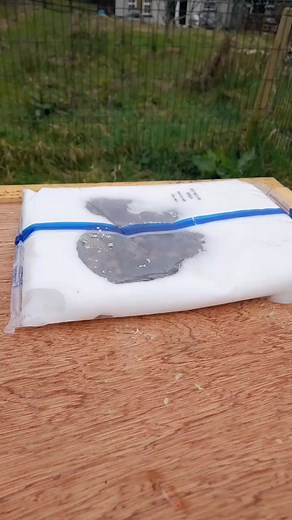 Paul hogan on TikTok