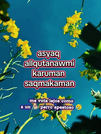 Quechua Music: Exploring Relationships in Songs