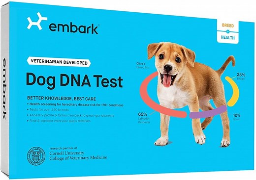 Embark Dog DNA Test (Breed   Health Kit) Review