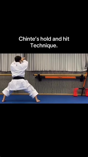 Chinte’s hold and hit technique. #karate #bunkai #chinte #holdandhit