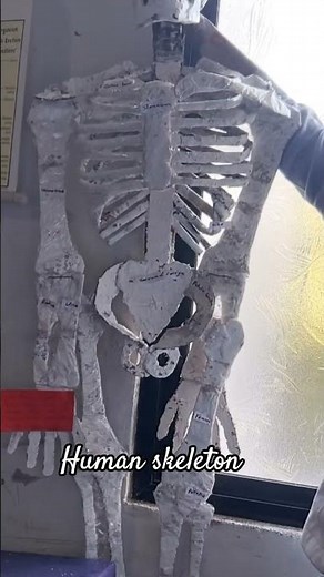 human skeleton making with paper and cardboard # hand made
