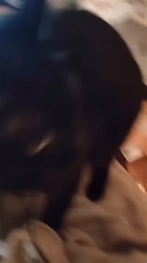 overview on why cats stare at you, in your preferred style: Cats stare for a mix of reasons—some cute, some calculated, and some downright chaotic. At the core, staring is how cats communicate, observe, and assert their place in your world. When a cat locks eyes with you, it’s not always a threat or challenge. Sometimes it’s a silent “I trust you.” A slow blink from a cat is their way of saying they feel safe and relaxed. You can even blink back slowly—it’s like a secret handshake in cat languag