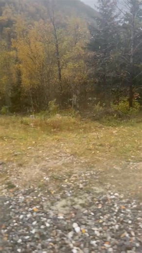 Skagway Alaska Train ride | Belma Failoga