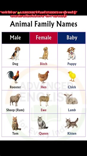 Daily Learning: Use Advanced English Daily | Confident Speaking Secrets of Smart People #shorts