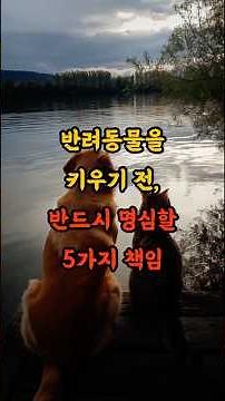 반려동물을 키우기 전, 꼭 명심해야 할 5가지 #반려동물책임 #입양전필수#반려동물사랑 #생명존중