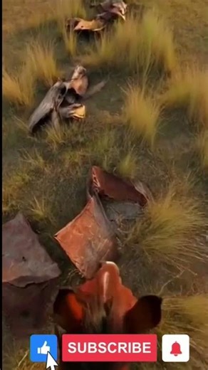 Horse POV in Mongolia finds ancient battlefield remains #History #Ancient #POV