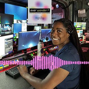 1.6K views · 13 reactions | 樂Ever wonder...what creatures live in the...