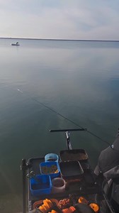 42K views · 515 reactions | Se prinde pește frumos și în sezonul rece! Bravo Miți 略 | Feeder X | Facebook