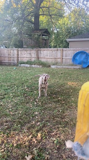 Funny GIF: Wrong Way Silly!