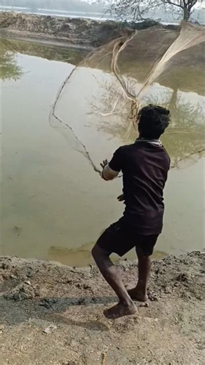 Cast Net Throwing || Best Net Fishing || Net Throw