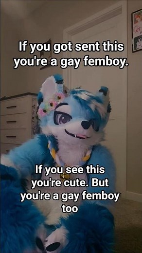 Ur Gay & Cute! #furry #vrchat #fypシ #fyp #furries #fursuit #viral #funny #femboy #viralvideo