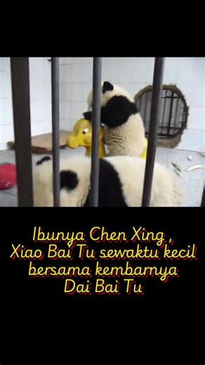 ULTRAVIOLET_1676 (@ultraviolet_1676)’s videos with original sound - Yap Weng Hong