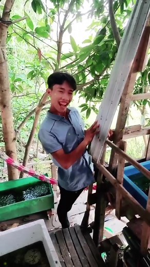 Exploring Tropical Gardening Techniques in a Rural Setting