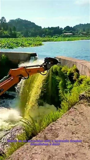 Excavator Breaks Dam | Demolition Process