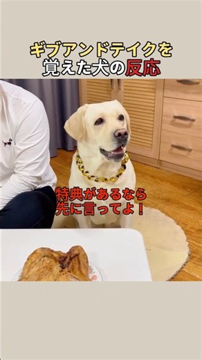 How a dog reacts after learning to give and take