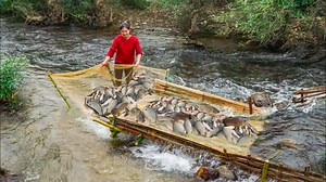 Simple Bamboo Fish Trap Making Technique | Court Shows