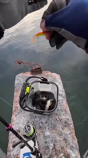 Fishing Skills: Hilarious Moments on the Water