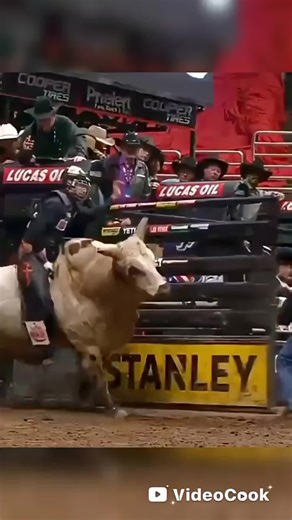 🐂 REAL ESTATE RODEO 🎯 The 8-Second Ride: Appraisal Issues They say a bull rider only has to stay on 8 seconds… Buying a home feels the same way. This week the bull is buckin’ because the appraisal came in low 📉 Buyers get nervous. Sellers get offended. And most people want to jump off. But a low appraisal doesn’t mean the deal is dead — it means it’s time to negotiate, adjust, and stay steady. My job isn’t to panic. My job is to keep you on the bull until the buzzer 🏁 🙏 I believe steady han