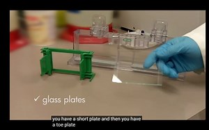 SDS-PAGE 聚丙烯酰胺凝胶电泳操作相关