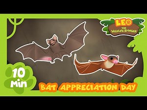 HAPPY BAT DAY (17th April)! | Save Our Bats! | Leo the Wildlife Ranger | Kids Animation