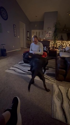 Pray for us and two 5 month old black lab twins through Friday! Lessons abound. Some will stick and some don’t last 30 seconds. Our lesson has been learned. These guys are Special, sweet, brainless babies. Birth control for dog envy!! | Peggy Sage