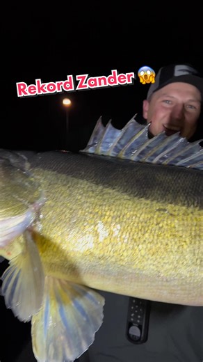 90 PR 💥#angeln #fishing #zander