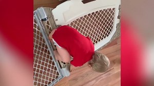 Escape Artists