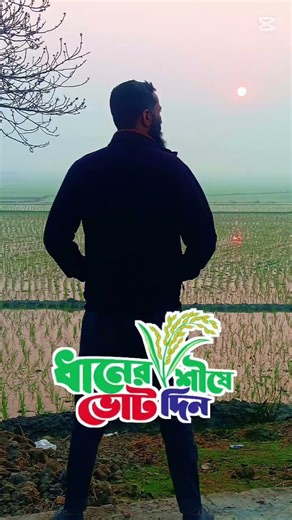 ধানের শীষ প্রতীকে ভোট দিন #electronicmusic #unfrezzmyaccount #flamencomusic