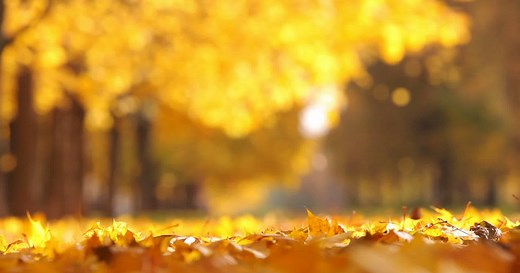 First Warning Forecast: From the 60s to the 80s, tracking back and forth temps