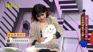 220K views · 2K reactions | 壯壯帶自家貓咪肥肥來做 #寵物溝通！ 能跟動物對話太神奇了✨ 【#辣個女生 播出資訊】 ️電視播出：每週一到週三 晚上10點 三立都會台30頻道 ️電視重播：隔日早上4:00、9:00、14:00 ️YT完整版：每週二到週四 中午12:00 上完整版 #天心 #小煜 #楊奇煜 #壯壯 | 天后出發吧 | Facebook