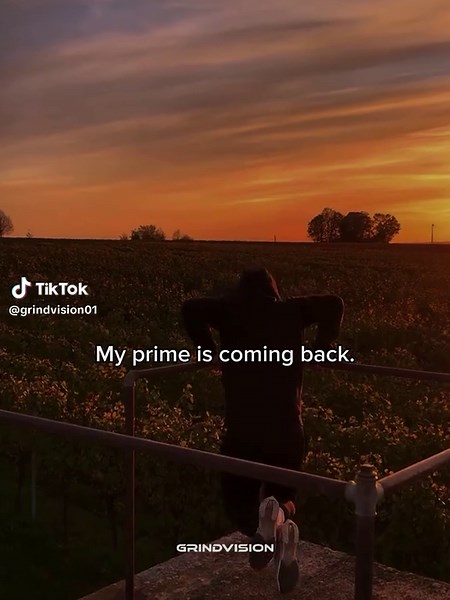 Guide to 300 Workout Clips and Bulking Program