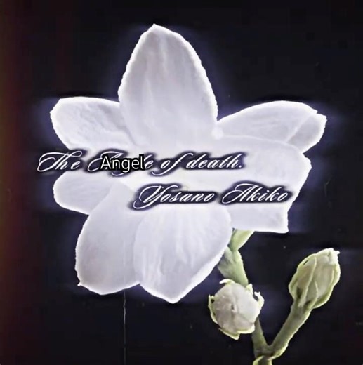 Angel of death*||#yosano #yosanoakiko #angel #angelofdeath #bsdangst