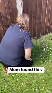 57K views · 333 reactions | Mr Amazing on Reels | Facebook