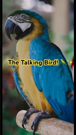 Parrot Facts: The Amazing Talking Bird of the Tropics!🦜🌴 (Unbelievable Intelligence)#tropicalbirds